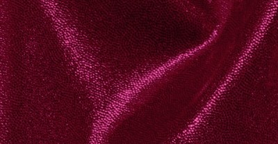 Wet Fuchsia