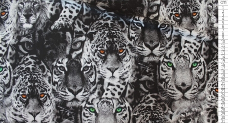 Tigeraugen Weiß