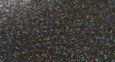 Wet Holo Schwarz