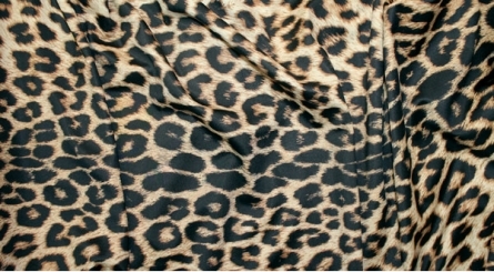 Cougar Design