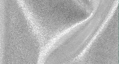 Wet Silber